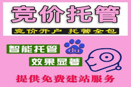 百度SEO推广策略：如何快速提升网站排名？——案例详解